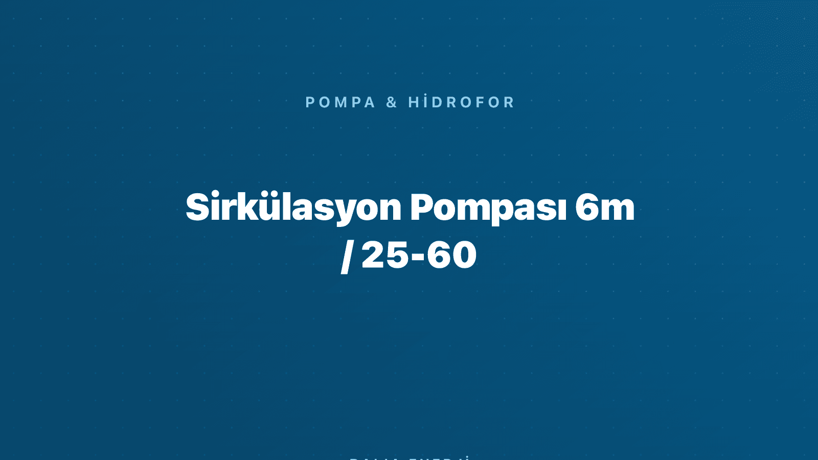 Sirkülasyon Pompası 6m / 25-60